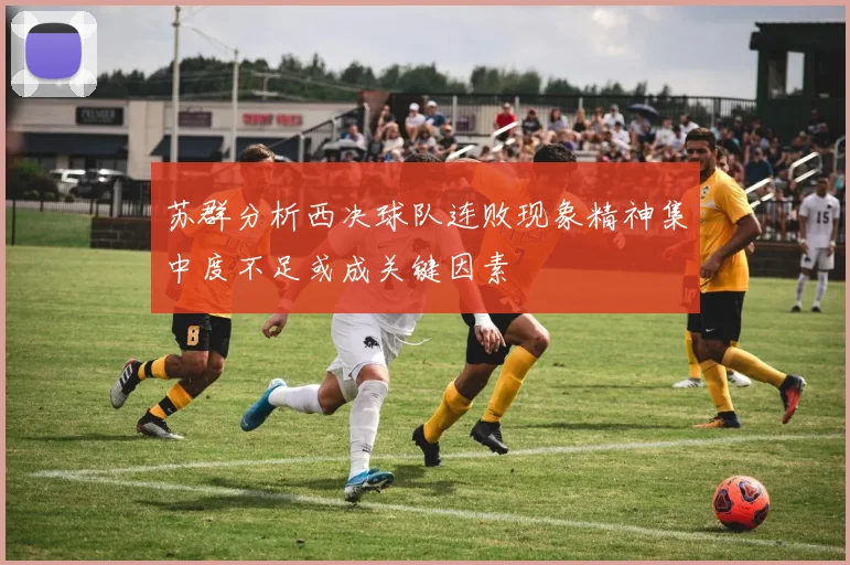 苏群分析西决球队连败现象精神集中度不足或成关键因素